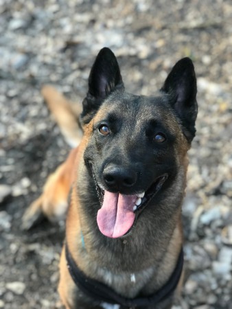 25. Veronika Barbiriková a Dodge Betkin dvor